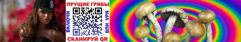 Галлюциногенные грибы мицелий  Соль-Илецк 